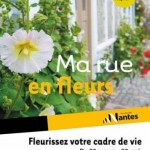 Ma rue en fleurs